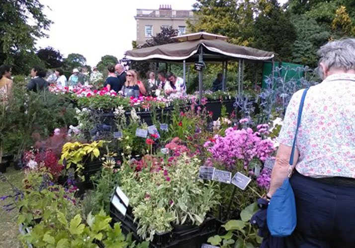 rareplantfair714x500 Waterperry Gardens